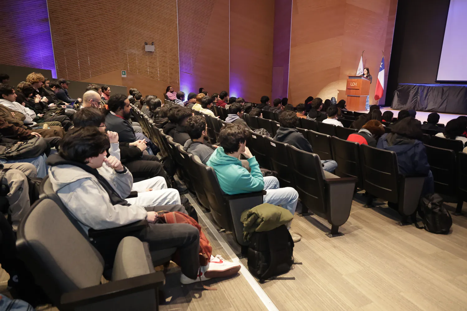 Imagen 2